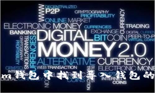 如何在Token.im钱包中找到导入钱包的选项：详细指南