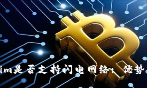 深入了解Token.im是否支持闪电网络: 优势、局限及用户指南