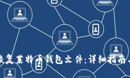 如何成功恢复莱特币钱包文件：详细指南与实用技巧