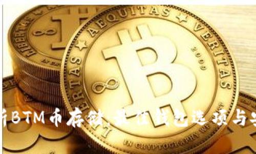 全面解析BTM币存储：最佳钱包选项与安全指南