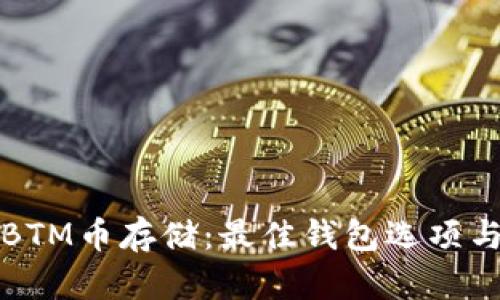 全面解析BTM币存储：最佳钱包选项与安全指南