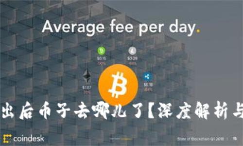 量子链钱包导出后币子去哪儿了？深度解析与常见问题解答