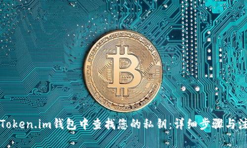 如何在Token.im钱包中查找您的私钥：详细步骤与注意事项