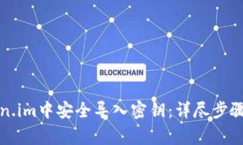 如何在Token.im中安全导入密钥：详尽步骤与注意事项