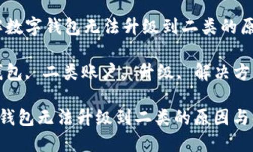 意为：全面了解数字钱包无法升级到二类的原因与解决方案

关键词：数字钱包, 二类账户, 升级, 解决方案

全面了解数字钱包无法升级到二类的原因与解决方案