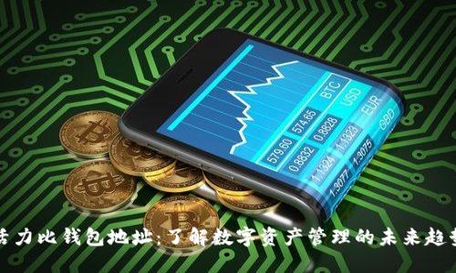 活力比钱包地址：了解数字资产管理的未来趋势