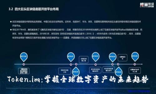 Token.im：掌握全球数字资产的未来趋势
