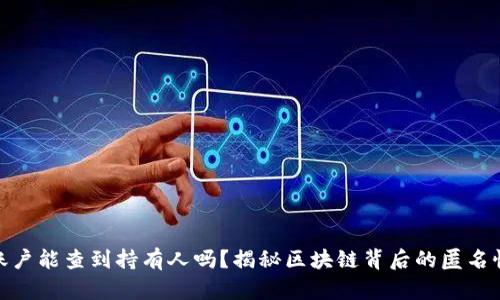 : 虚拟币账户能查到持有人吗？揭秘区块链背后的匿名性与透明性