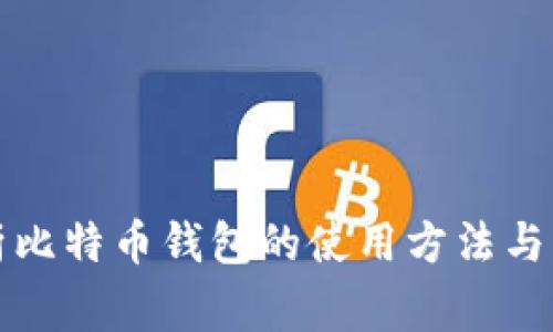 全面解析比特币钱包的使用方法与注意事项