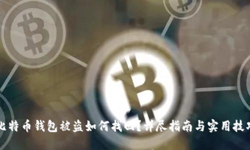 比特币钱包被盗如何找回？详尽指南与实用技巧