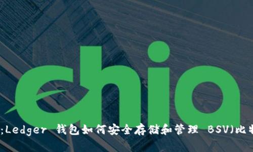 全面解析：Ledger 钱包如何安全存储和管理 BSV（比特币现金）