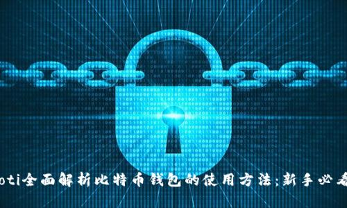 biasoti全面解析比特币钱包的使用方法：新手必看指南