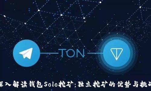   
深入解读钱包Solo挖矿：独立挖矿的优势与挑战