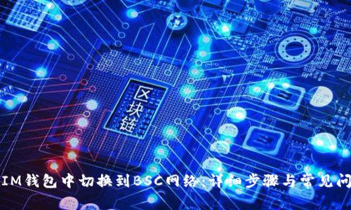 如何在IM钱包中切换到BSC网络：详细步骤与常见问题解答