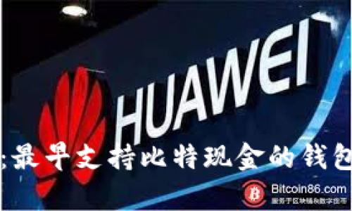 比特现金：最早支持比特现金的钱包全面分析