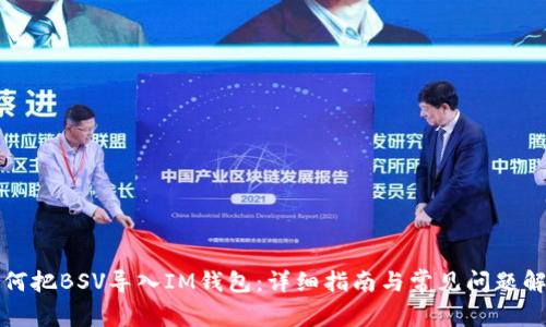 如何把BSV导入IM钱包：详细指南与常见问题解析