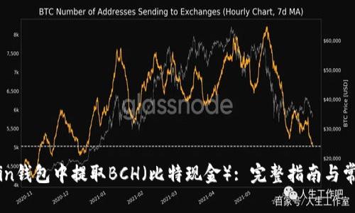 如何在Okcoin钱包中提取BCH（比特现金）: 完整指南与常见问题解答