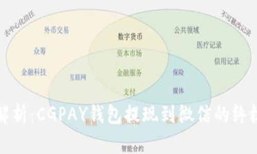 全面解析：CGPAY钱包提现到微信的终极教程