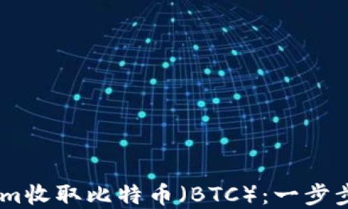 
如何通过Token.im收取比特币（BTC）：一步步详解与实用技巧