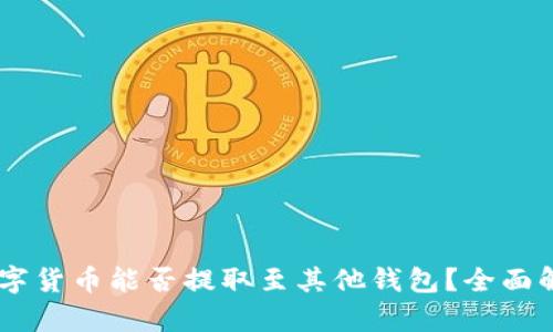 IM钱包中的数字货币能否提取至其他钱包？全面解析与实用指南