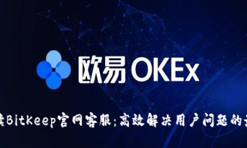 全面解读BitKeep官网客服：高效解决用户问题的最佳搭档