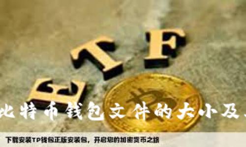 深入探讨：比特币钱包文件的大小及其影响因素