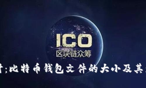 深入探讨：比特币钱包文件的大小及其影响因素