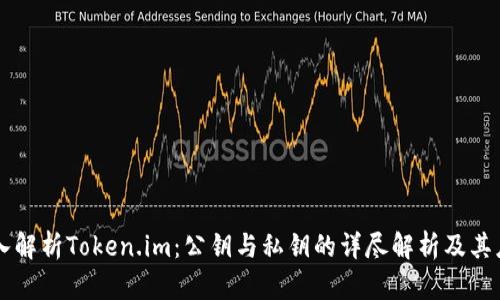 深入解析Token.im：公钥与私钥的详尽解析及其应用