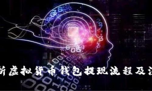 全面解析虚拟货币钱包提现流程及注意事项