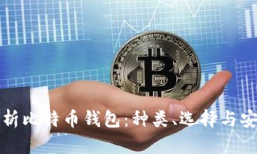 全面解析比特币钱包：种类、选择与安全指南