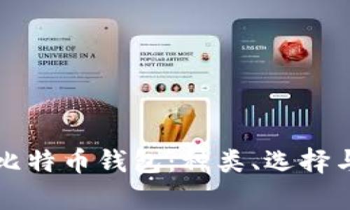 全面解析比特币钱包：种类、选择与安全指南