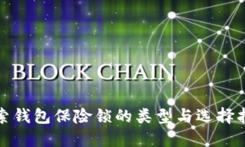 探索钱包保险锁的类型与选择指南