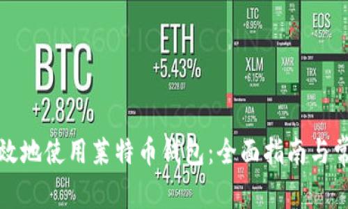 如何安全有效地使用莱特币钱包：全面指南与常见问题解答