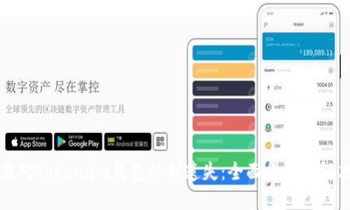 如何应对Token.im钱包私钥遗失：全面指南与解决方案