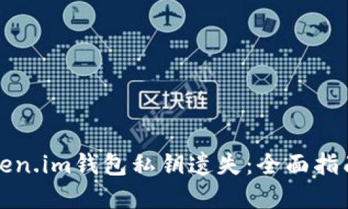 如何应对Token.im钱包私钥遗失：全面指南与解决方案