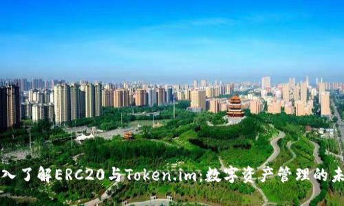深入了解ERC20与Token.im：数字资产管理的未来