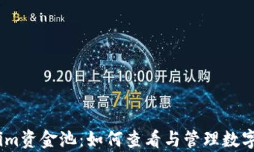 
深入解析Token.im资金池：如何查看与管理数字资产的最佳实践