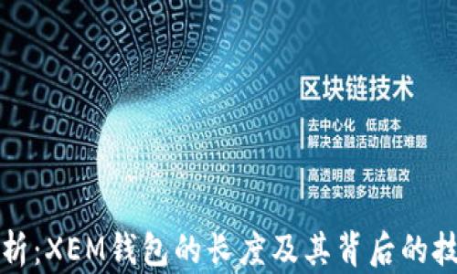 
深入解析：XEM钱包的长度及其背后的技术逻辑