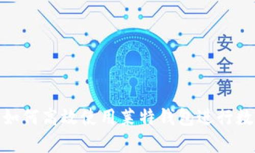  全面解析：如何高效使用莱特钱包进行数字资产管理