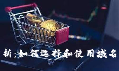 全面解析：如何选择和使用域名币钱包