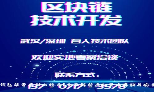 IM钱包能否存储比特币？全面解析虚拟货币存储与安全性