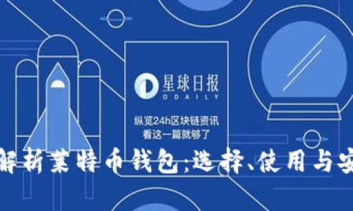 完全解析莱特币钱包：选择、使用与安全性