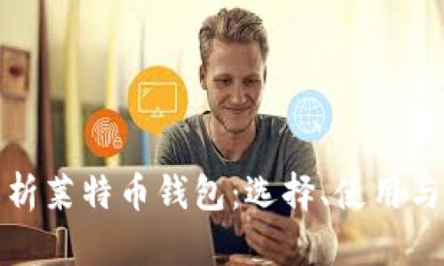 完全解析莱特币钱包：选择、使用与安全性
