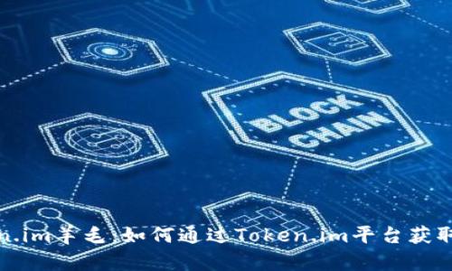 揭秘Token.im羊毛：如何通过Token.im平台获取高额收益