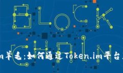 揭秘Token.im羊毛：如何通过Token.im平台获取高额收