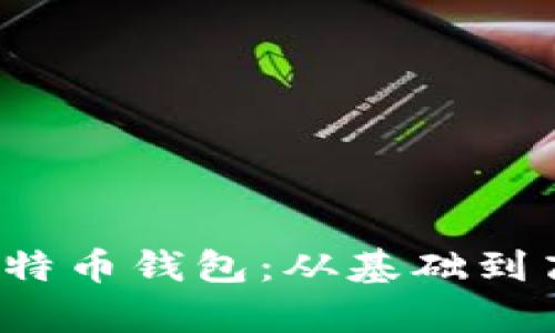  如何高效同步特币钱包：从基础到高级技巧全解析