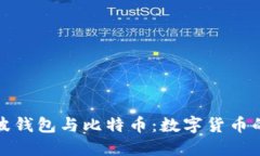 深入了解瑞波钱包与比特币：数字货币的未来与