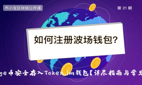 如何将Doge币安全存入Token.im钱包？详尽指南与常见问题解答