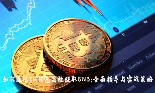 如何通过IM钱包高效赚取BNB：全面指导与实战策略