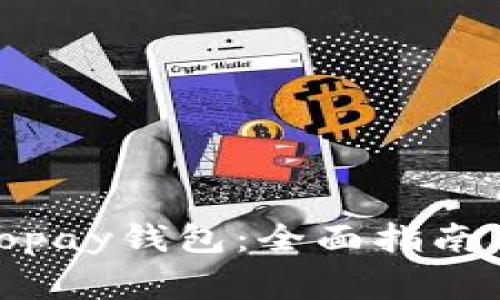 如何有效恢复copay钱包：全面指南与常见问题解答